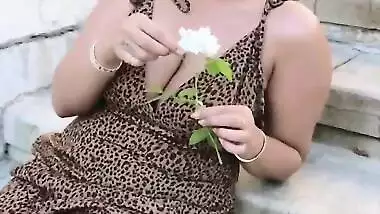Lathotecia thomas