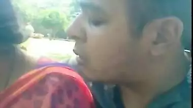 Indian love birds in park