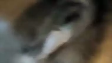 Desi college girl naked chat viral video MMS