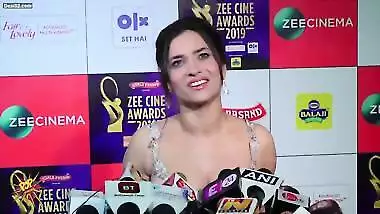 Desi hot model
